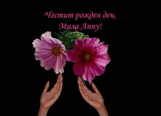 Happy Birthday, dear Anny!!!