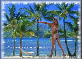 Деликатността на цветята ...