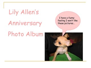 Lily Allen’s  Anniversary Photo Album I have a funny feeling I won’t like these pictures… 