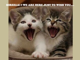 MIREILLE !! WE ARE HERE JUST TO WISH YOU....

 