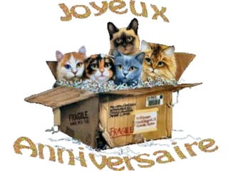 Happy Birthday Mireille