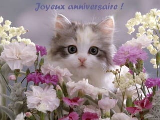 Happy Birthday Mireille