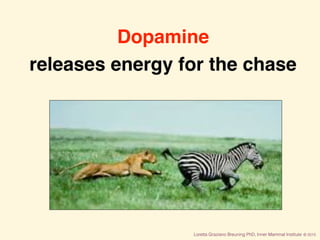 Loretta Graziano Breuning PhD, Inner Mammal Institute © 2015
Dopamine
releases energy for the chase
 