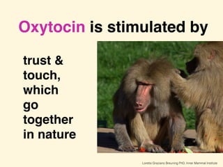 Loretta Graziano Breuning PhD, Inner Mammal Institute
Oxytocin is stimulated by
trust & 
touch,
which
go
together
in nature
 