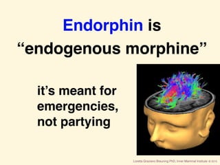 Loretta Graziano Breuning PhD, Inner Mammal Institute © 2015
Endorphin is 
“endogenous morphine”
it’s meant for
emergencie...