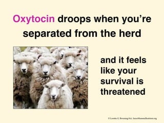 Oxytocin droops when you’re
separated from the herd
and it feels
like your
survival is
threatened
 