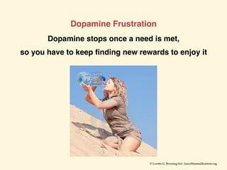 Dopamine Frustration
Dopamine stops once a need is met,
so you have to keep ﬁnding new rewards to enjoy it
 