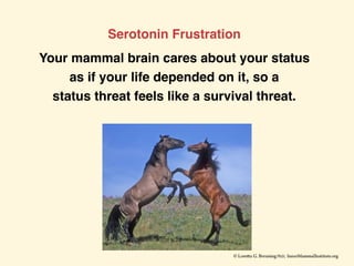 Serotonin Frustration
Your mammal brain cares about your status
as if your life depended on it, so a
status threat feels l...