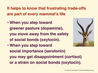 It helps to know that frustrating trade-offs
are part of every mammal’s life
•When you step toward 
greener pasture (dopam...