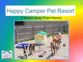 Happy Camper Pet Resort A Home Away From Home! 