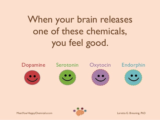 Image result for dopamine and serotonin in our brains