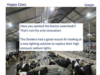Happy Cows                                              Dialight

    •Body text


            Have you spotted the bovine waterbeds?
            That’s not the only innovation.

            The Donkers had a good reason for looking at
            a new lighting solution to replace their high
            pressure sodium lights.




4
 