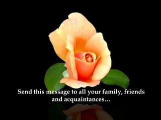 Send this message to all your family, friends and acquaintances… 