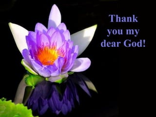 Thank you my dear God! 