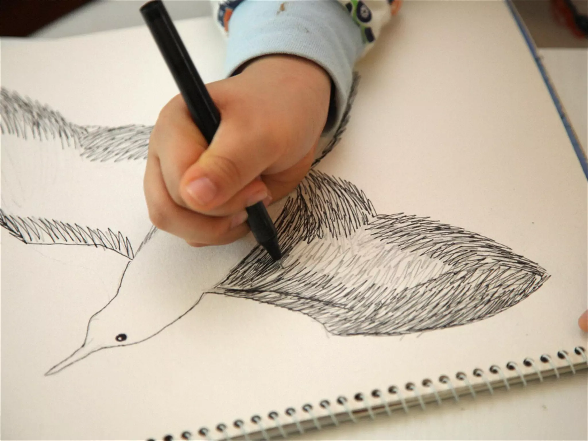 그림선생님 준영군
 