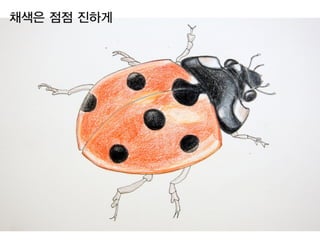 채색은 점점 진하게
 