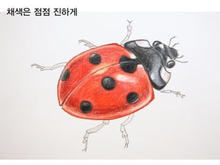 채색은 점점 진하게
 