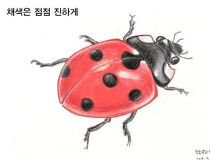 채색은 점점 진하게
 