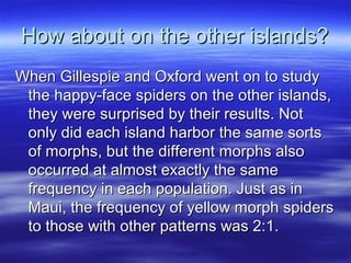 How about on the other islands?How about on the other islands?
When Gillespie and Oxford went on to studyWhen Gillespie and Oxford went on to study
the happy-face spiders on the other islands,the happy-face spiders on the other islands,
they were surprised by their results. Notthey were surprised by their results. Not
only did each island harbor the same sortsonly did each island harbor the same sorts
of morphs, but the different morphs alsoof morphs, but the different morphs also
occurred at almost exactly the sameoccurred at almost exactly the same
frequency in each population. Just as infrequency in each population. Just as in
Maui, the frequency of yellow morph spidersMaui, the frequency of yellow morph spiders
to those with other patterns was 2:1.to those with other patterns was 2:1.
 