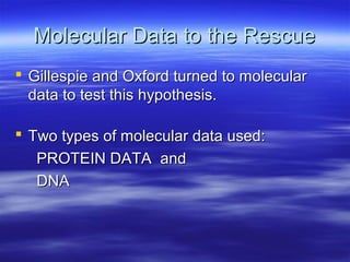 Molecular Data to the RescueMolecular Data to the Rescue
 Gillespie and Oxford turned to molecularGillespie and Oxford turned to molecular
data to test this hypothesis.data to test this hypothesis.
 Two types of molecular data used:Two types of molecular data used:
PROTEIN DATA andPROTEIN DATA and
DNADNA
 
