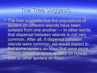 The Tree Suggests…The Tree Suggests…
 The tree suggests that the populations ofThe tree suggests that the populations of
spiders on different islands have beenspiders on different islands have been
isolated from one another — in other words,isolated from one another — in other words,
that dispersal between islands is not verythat dispersal between islands is not very
common. After all, if dispersal betweencommon. After all, if dispersal between
islands were common, we would expect toislands were common, we would expect to
find some spiders on Maui that were morefind some spiders on Maui that were more
closely related to some spiders on Hawaiiclosely related to some spiders on Hawaii
than to other spiders on Maui.than to other spiders on Maui.
 