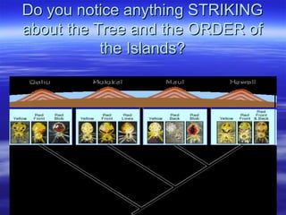 Do you notice anything STRIKINGDo you notice anything STRIKING
about the Tree and the ORDER ofabout the Tree and the ORDER of
the Islands?the Islands?
 