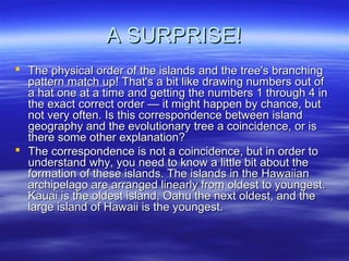 A SURPRISE!A SURPRISE!
 The physical order of the islands and the tree's branchingThe physical order of the islands and the tree's branching
pattern match up! That's a bit like drawing numbers out ofpattern match up! That's a bit like drawing numbers out of
a hat one at a time and getting the numbers 1 through 4 ina hat one at a time and getting the numbers 1 through 4 in
the exact correct order — it might happen by chance, butthe exact correct order — it might happen by chance, but
not very often. Is this correspondence between islandnot very often. Is this correspondence between island
geography and the evolutionary tree a coincidence, or isgeography and the evolutionary tree a coincidence, or is
there some other explanation?there some other explanation?
 The correspondence is not a coincidence, but in order toThe correspondence is not a coincidence, but in order to
understand why, you need to know a little bit about theunderstand why, you need to know a little bit about the
formation of these islands. The islands in the Hawaiianformation of these islands. The islands in the Hawaiian
archipelago are arranged linearly from oldest to youngest.archipelago are arranged linearly from oldest to youngest.
Kauai is the oldest island, Oahu the next oldest, and theKauai is the oldest island, Oahu the next oldest, and the
large island of Hawaii is the youngest.large island of Hawaii is the youngest.
 