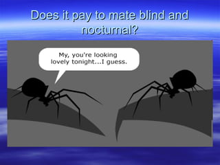Does it pay to mate blind andDoes it pay to mate blind and
nocturnal?nocturnal?
 
