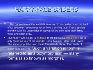 HAPPY-FACE SPIDERSHAPPY-FACE SPIDERS
 The happy-face spider exhibits an array of color patterns on the backThe happy-face spider exhibits an array of color patterns on the back
of its abdomen, sometimes resembles a smiling face. These spidersof its abdomen, sometimes resembles a smiling face. These spiders
blend in with the undersides of leaves where they build their flimsyblend in with the undersides of leaves where they build their flimsy
webs and catch prey.webs and catch prey.
 The happy-face spider isThe happy-face spider is endemicendemic to the Hawaiianto the Hawaiian archipelagoarchipelago but isbut is
only found on four of the islands: Oahu, Molokai, Maui, and Hawaii.only found on four of the islands: Oahu, Molokai, Maui, and Hawaii.
The spider populations on these four islands show off a variety ofThe spider populations on these four islands show off a variety of
happy-face patterns.happy-face patterns. Such a variation in form isSuch a variation in form is
referred to as a polymorphism — manyreferred to as a polymorphism — many
forms (also known as morphs).forms (also known as morphs).
 