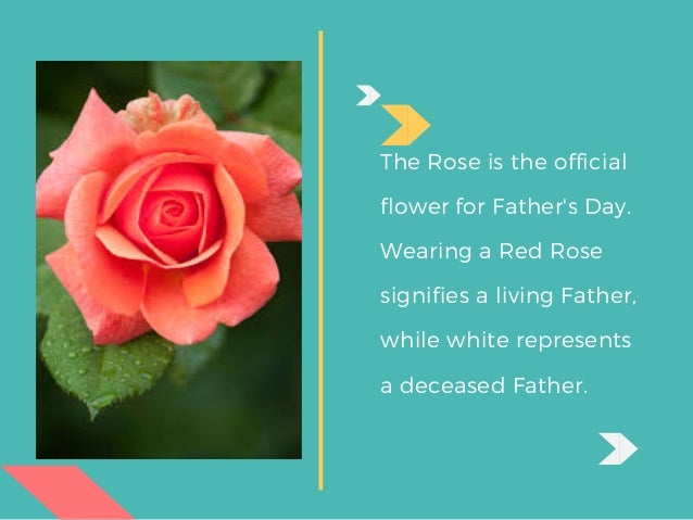 official flower of father's day