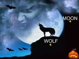 MOON WOLF 