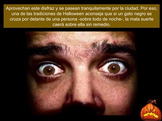 Aprovechan este disfraz y se pasean tranquilamente por la ciudad. Por eso, una de las tradiciones de Halloween aconseja que si un gato negro se cruza por delante de una persona -sobre todo de noche-, la mala suerte caerá sobre ella sin remedio. 