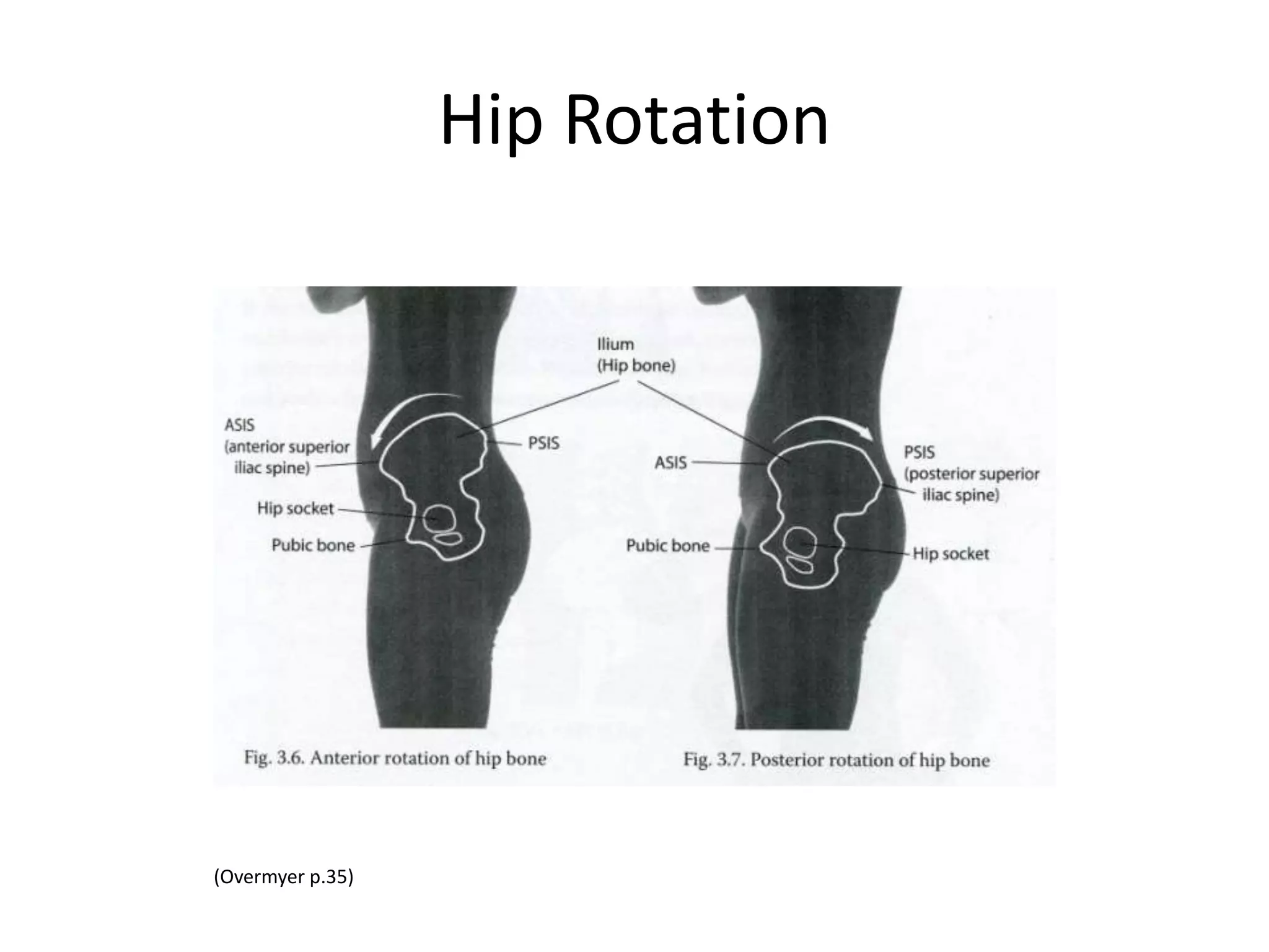 General Low Back Release
• These are side lying exercises so place a pillow under your
  head for comfort. Lay on a firm surface. Stay within a
  comfortable range of motion. There should be no
  discomfort during these exercises.
• Isometric
• -Lay on your side with your knees bent like you are sitting in
  a chair. Grasp your knees & as you exhale slowly press your
  knees into your hands. The movement extends through the
  hips, curling the pubic bone forward and presses the low
  back away from your knees.
• -Gently release your hands and straighten your
  legs, allowing them to complete the movement they were
  trying to make.
 