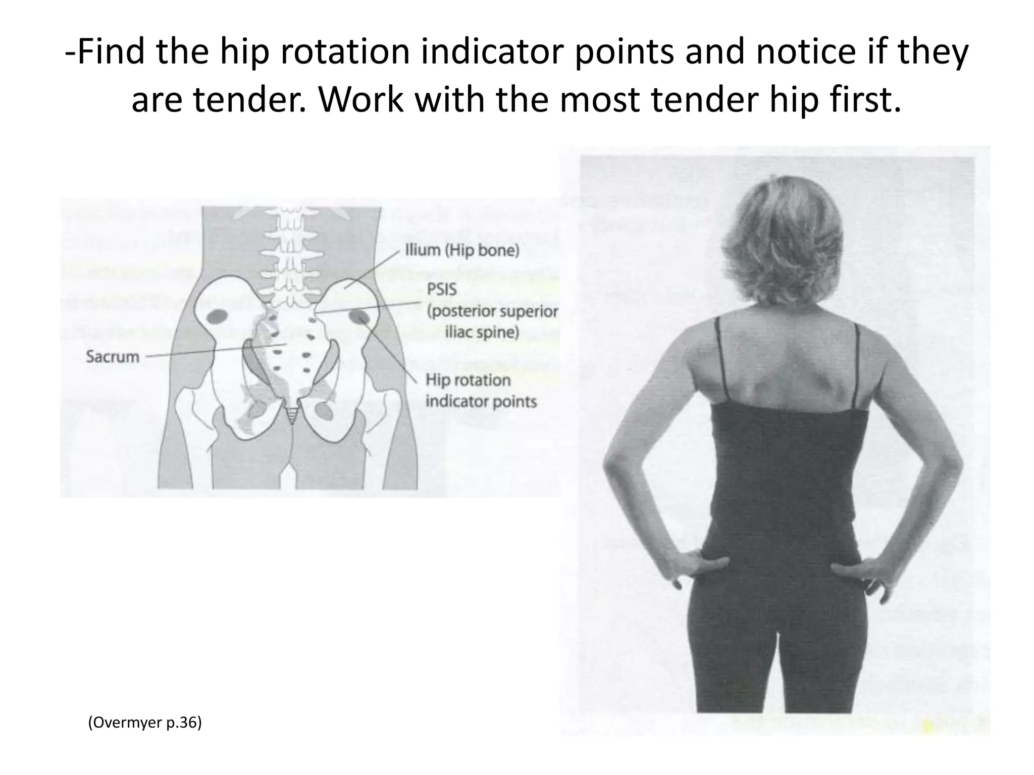 Hip Rotation
 