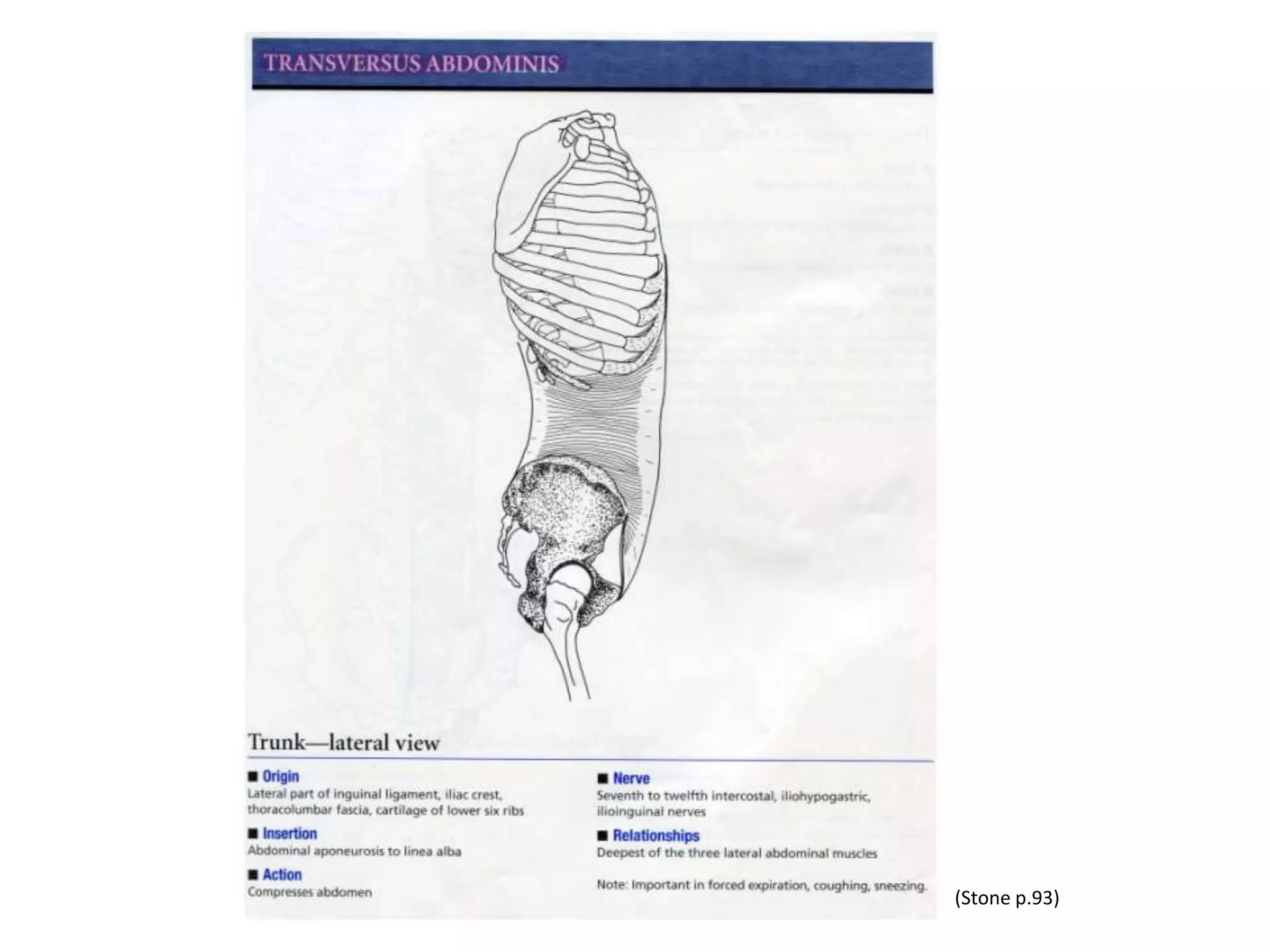 Sacroiliac Joint Exercises:
Crisscross
Lay face down with
your knees bent.
Remember to move
slowly. Let your feet
fall out to the sides
and then come back in
crossing your ankles
like an “X.” Repeat for
1-2 minutes.
 