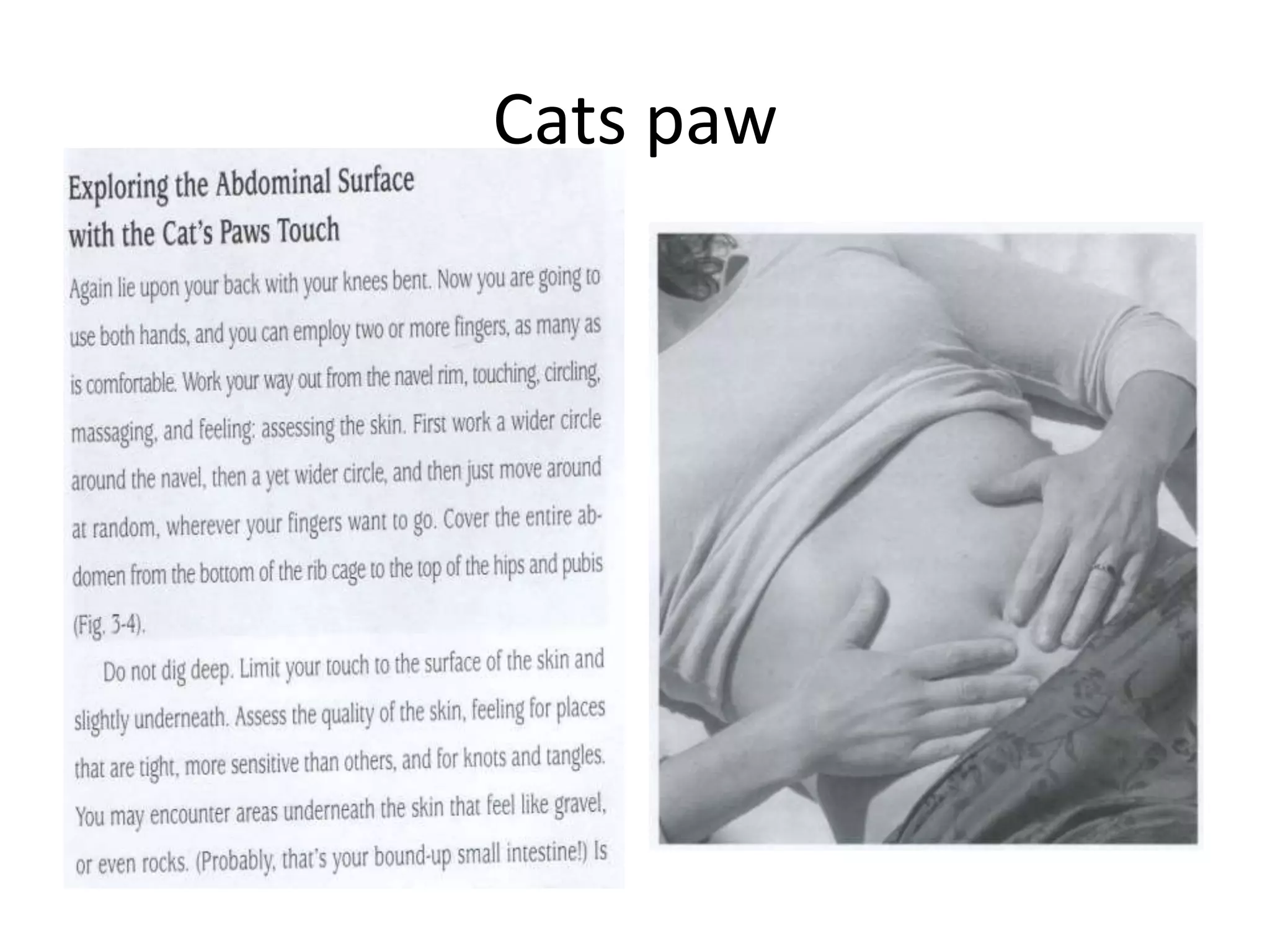 Cats paw
 