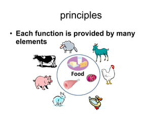 principles <ul><li>Each function is provided by many elements </li></ul>Food  