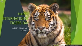 HAPPY
INTERNATIONAL
TIGERS DAY
MADE BY – RISHABH RAJ
CLASS-4D
This Photo by Unknown Author is licensed under CC BY-ND
 