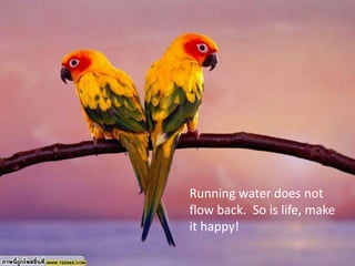 Running water does not flow back.  So is life, make it happy! <br />