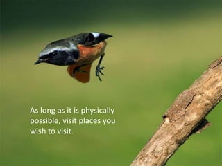 As long as it is physically possible, visit places you wish to visit. <br />