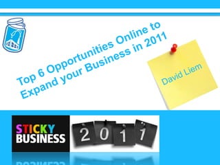 Top 6 Opportunities Online to Expand your Business in 2011 David Liem 