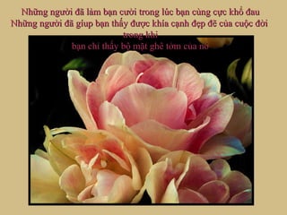 Những người đã làm bạn cười trong lúc bạn cùng cực khổ đau Những người đã gíup bạn thấy được khía cạnh đẹp đẽ của cuộc đời  trong khi bạn chỉ thấy bộ mặt ghê tởm của nó 