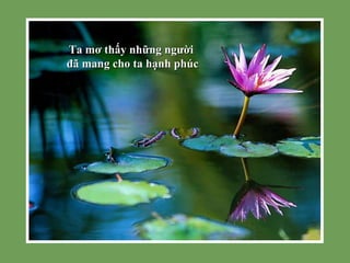 Ta mơ thấy những người  đã mang cho ta hạnh phúc 