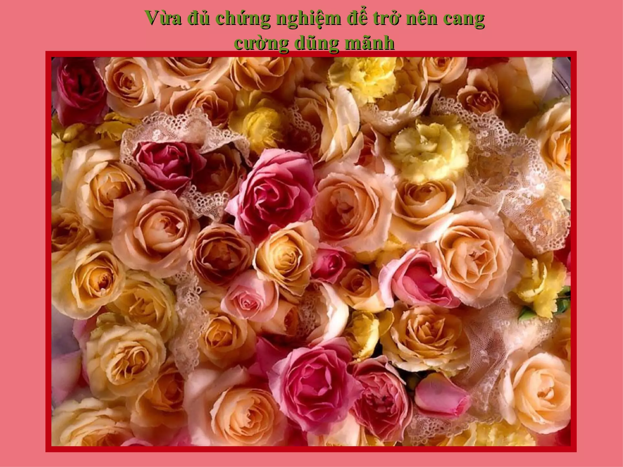 Vừa đủ chứng nghiệm để trở nên cang
         cường dũng mãnh
 