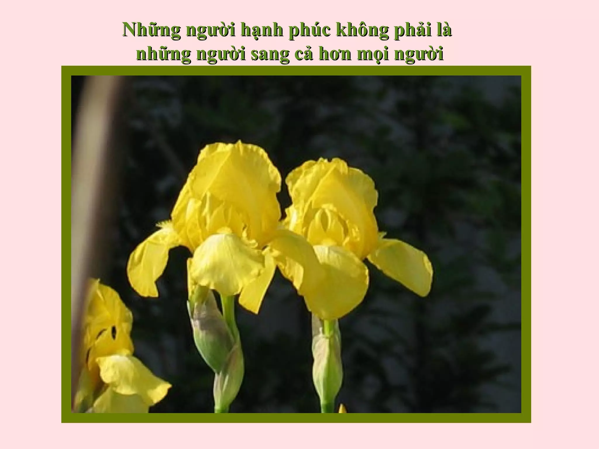 Những người hạnh phúc không phải là
 những người sang cả hơn mọi người
 