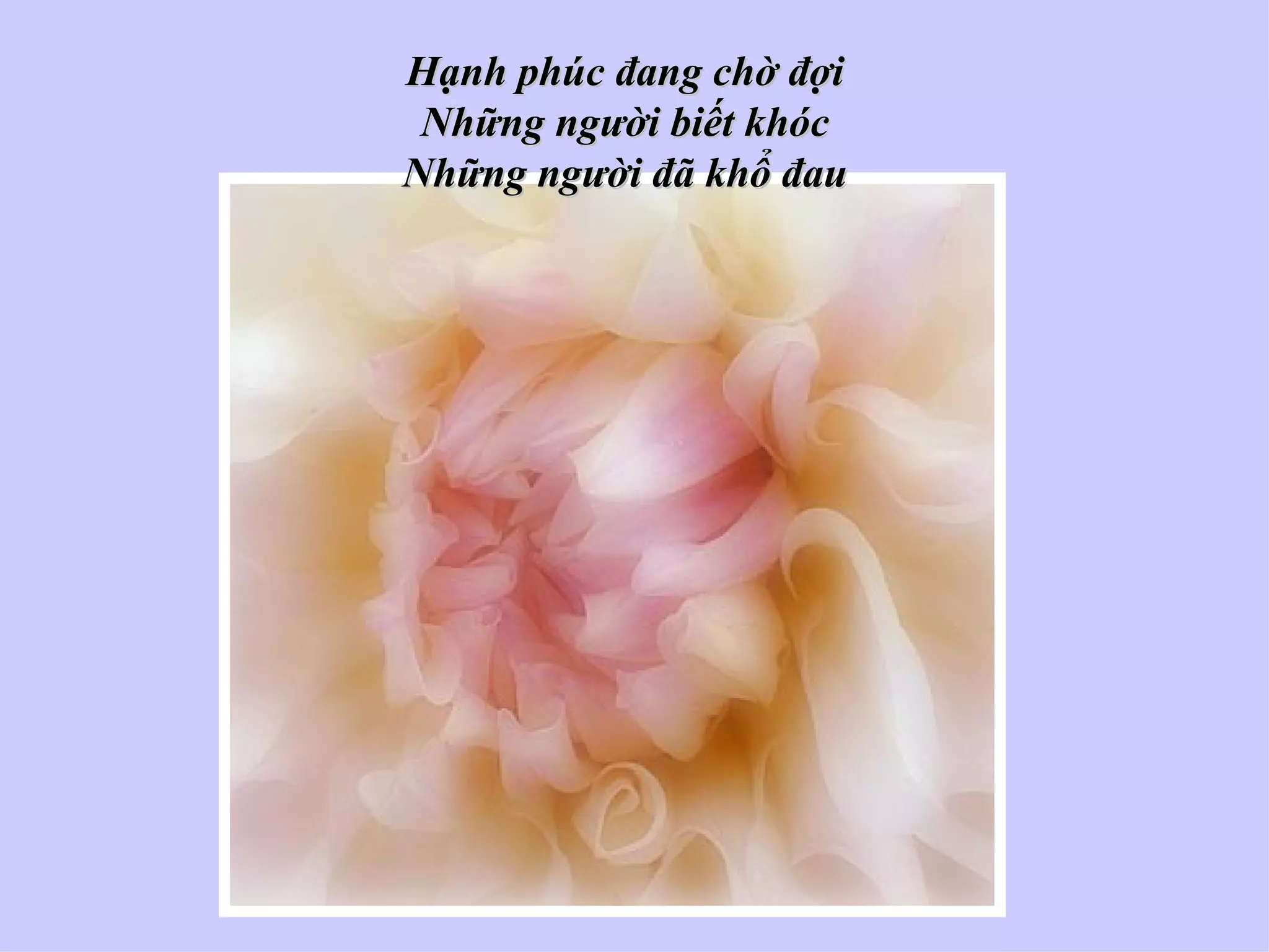 Hạnh phúc đang chờ đợi
 Những người biết khóc
Những người đã khổ đau
 