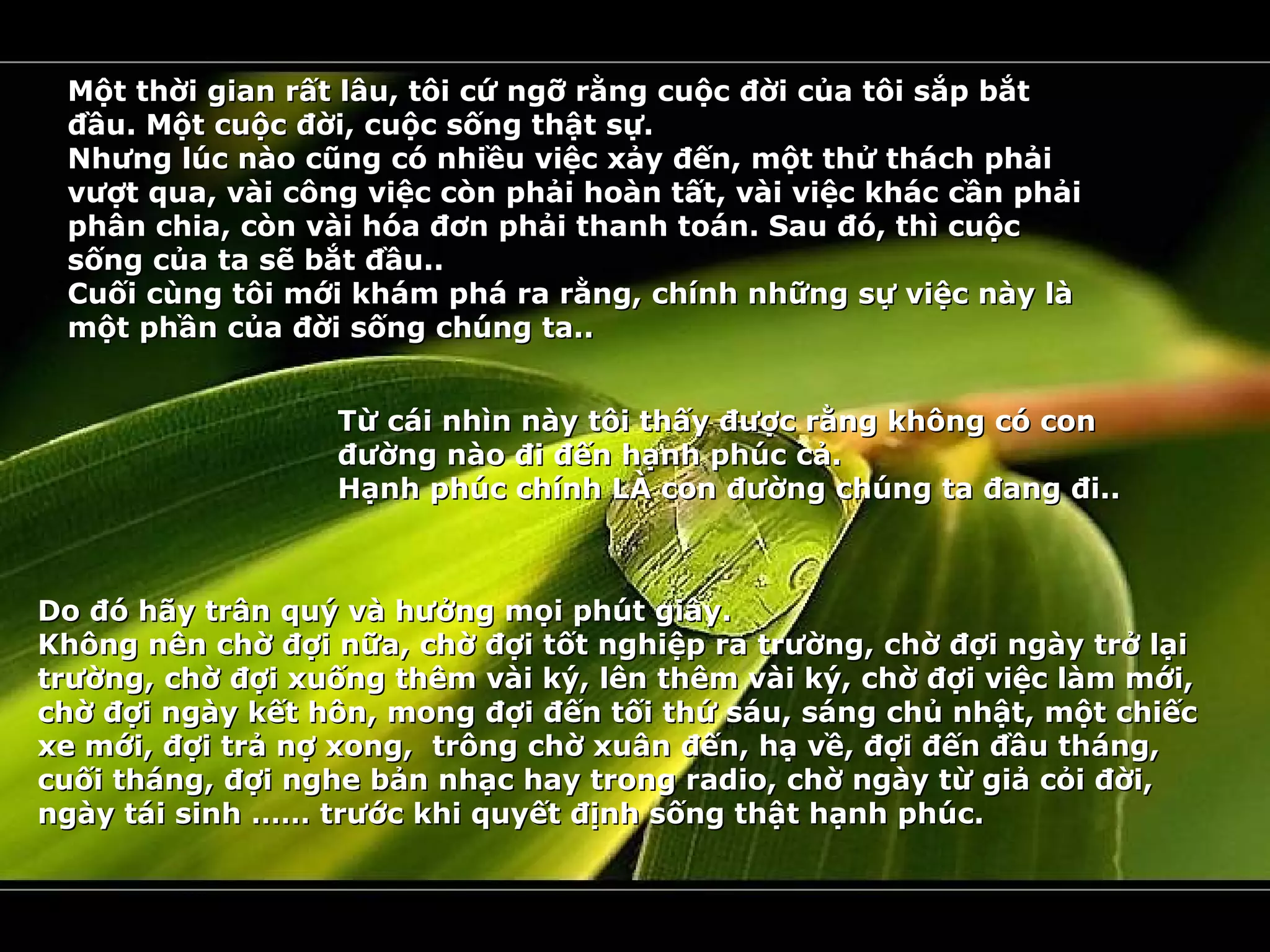 Một thời gian rất lâu, tôi cứ ngỡ rằng cuộc đời của tôi sắp bắt
 đầu. Một cuộc đời, cuộc sống thật sự.
 Nhưng lúc nào cũng có nhiều việc xảy đến, một thử thách phải
 vượt qua, vài công việc còn phải hoàn tất, vài việc khác cần phải
 phân chia, còn vài hóa đơn phải thanh toán. Sau đó, thì cuộc
 sống của ta sẽ bắt đầu..
 Cuối cùng tôi mới khám phá ra rằng, chính những sự việc này là
 một phần của đời sống chúng ta..


                  Từ cái nhìn này tôi thấy được rằng không có con
                  đường nào đi đến hạnh phúc cả.
                  Hạnh phúc chính LÀ con đường chúng ta đang đi..



Do đó hãy trân quý và hưởng mọi phút giây.
Không nên chờ đợi nữa, chờ đợi tốt nghiệp ra trường, chờ đợi ngày trở lại
trường, chờ đợi xuống thêm vài ký, lên thêm vài ký, chờ đợi việc làm mới,
chờ đợi ngày kết hôn, mong đợi đến tối thứ sáu, sáng chủ nhật, một chiếc
xe mới, đợi trả nợ xong, trông chờ xuân đến, hạ về, đợi đến đầu tháng,
cuối tháng, đợi nghe bản nhạc hay trong radio, chờ ngày từ giả cỏi đời,
ngày tái sinh …… trước khi quyết định sống thật hạnh phúc.
 