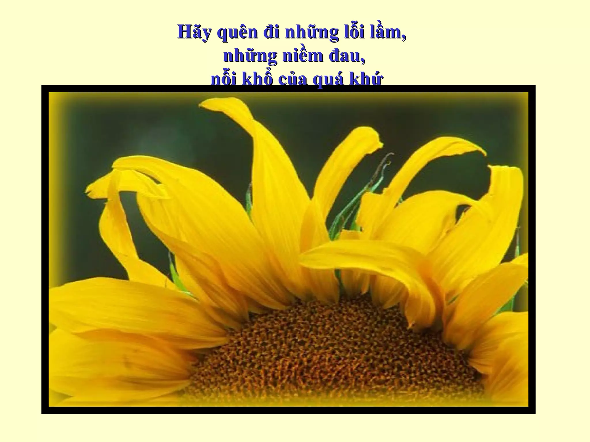 Hãy quên đi những lỗi lầm,
     những niềm đau,
   nỗi khổ của quá khứ
 