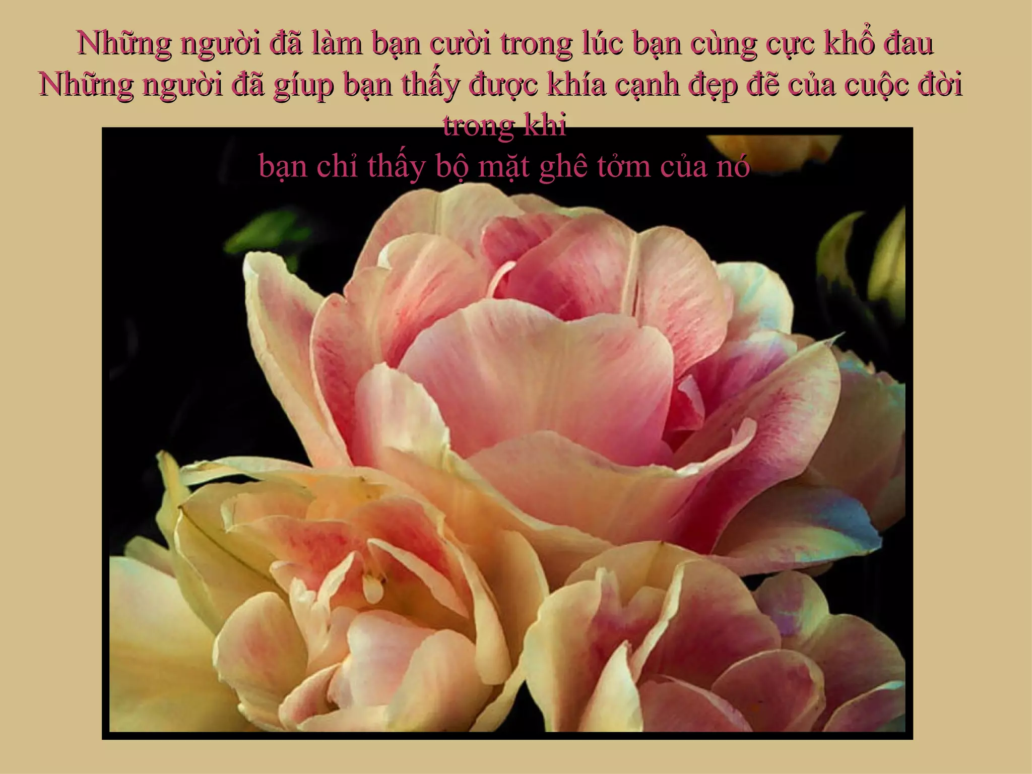 Những người đã làm bạn cười trong lúc bạn cùng cực khổ đau
Những người đã gíup bạn thấy được khía cạnh đẹp đẽ của cuộc đời
                           trong khi
              bạn chỉ thấy bộ mặt ghê tởm của nó
 