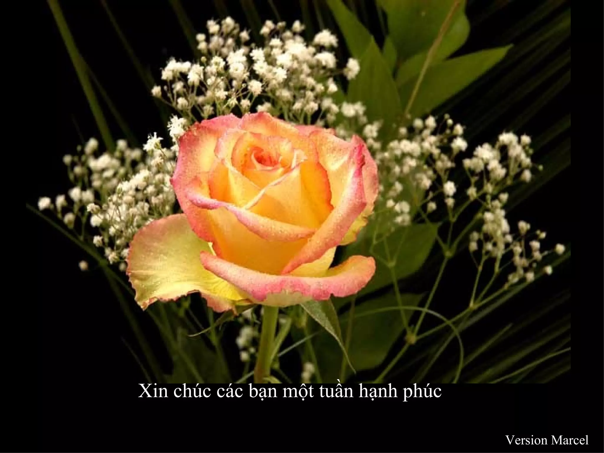 Xin chúc các bạn một tuần hạnh phúc

                                      Version Marcel
 